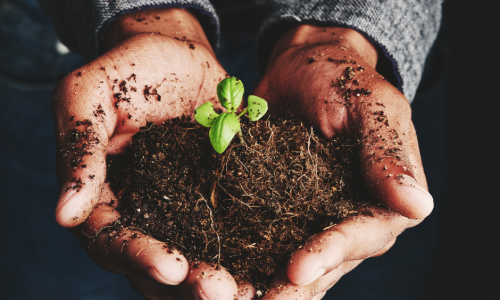 Contribute to the C&Agrave;S&Agrave; Alumni Fund