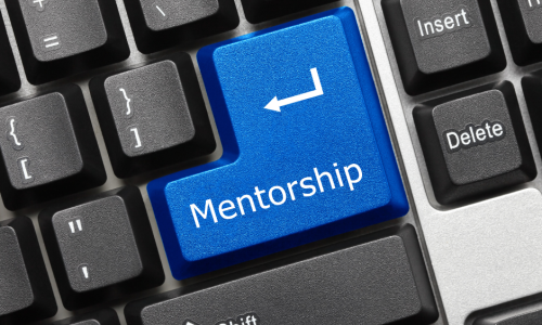 Mentorship Programme